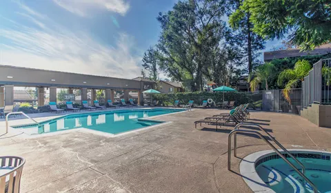Waterstone Alta Loma Apartments community pool lounge area showing pool chairs and entrance to building and palm trees in the background