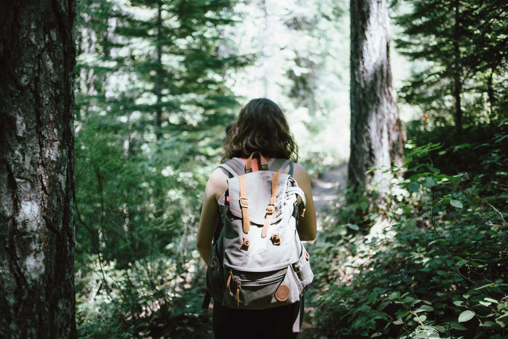 Woman hiking in a forest on the mountains